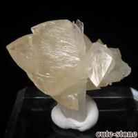 cute stone |アイテムの検索(3,001~5,000円) cute stone |アイテムの検索(3,001~5,000円)