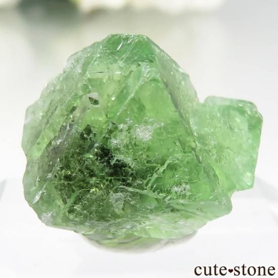 ڥ롼 Milpo mine ե饤ȡѥ饤Ȥθ No.3μ̿1 cute stone