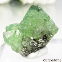 cute stone ｜アイテムの検索（20,001円～30,000円）