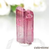 cute stone |アイテムの検索(20,001円~30,000円) cute stone |アイテムの検索(20,001円~30,000円)