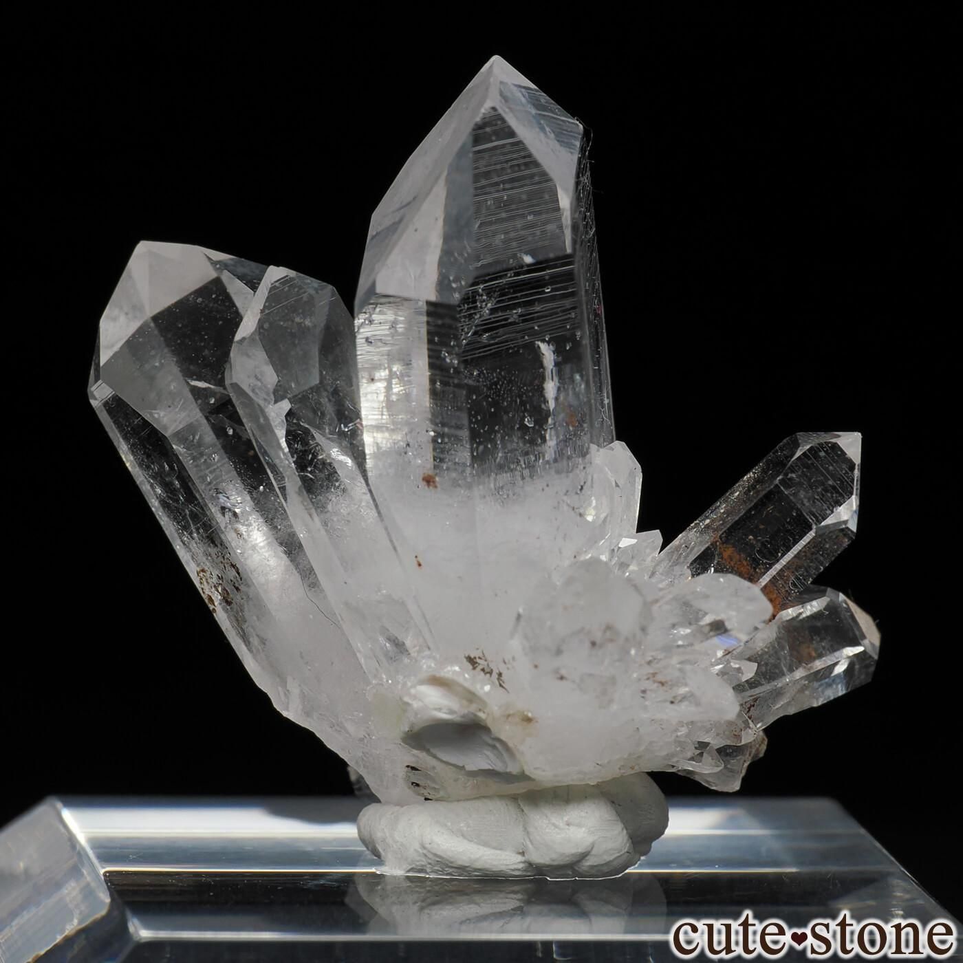 ʥߥӥ ֥ɥС Goboboseb Ĥθ No.2μ̿1 cute stone