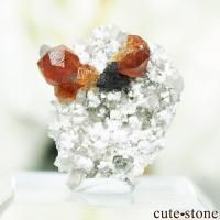 cute stone |アイテムの検索(0円~3,000円) のアイテム cute stone |アイテムの検索(0円~3,000円) のアイテム