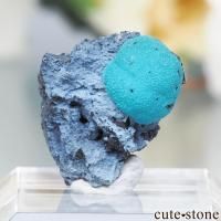 cute stone |アイテムの検索(0円~3,000円) のアイテム cute stone |アイテムの検索(0円~3,000円) のアイテム