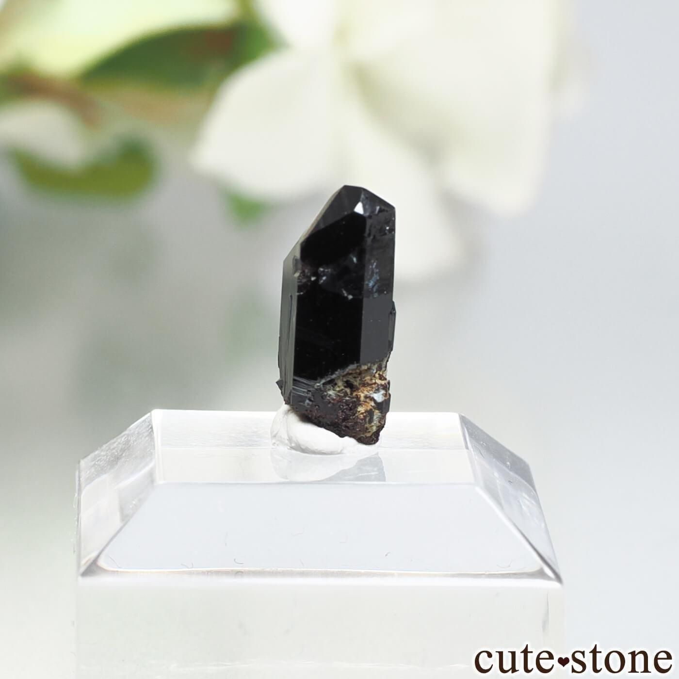 ե˥ California State Gem Mine ͥץʥȤθ No.153μ̿1 cute stone