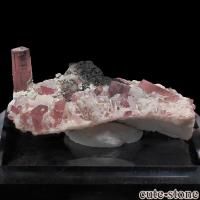 cute stone |アイテムの検索(20,001円~30,000円) cute stone |アイテムの検索(20,001円~30,000円)