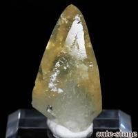 cute stone |アイテムの検索(7,001円~10,000円) cute stone |アイテムの検索(7,001円~10,000円)
