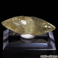 cute stone |アイテムの検索(7,001円~10,000円) cute stone |アイテムの検索(7,001円~10,000円)