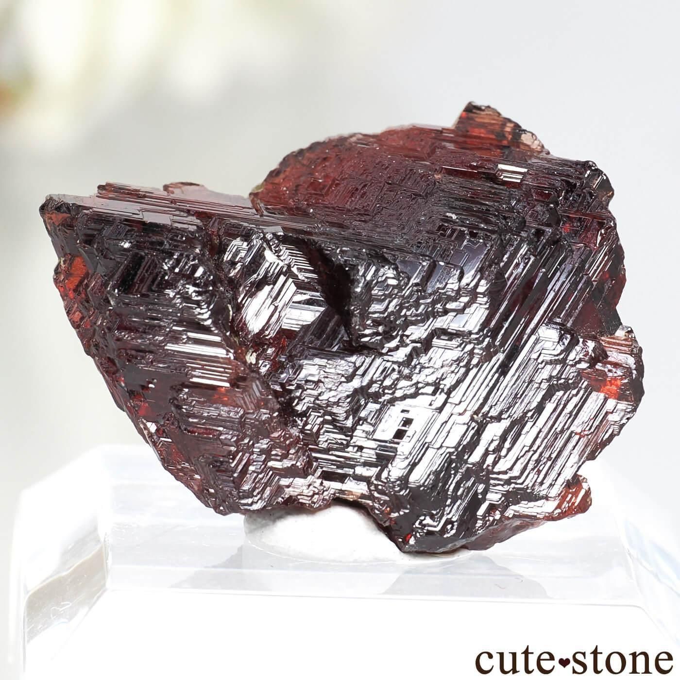 ֥饸 Navegadora claim ڥƥ󥬡ͥåȤθ No.13
