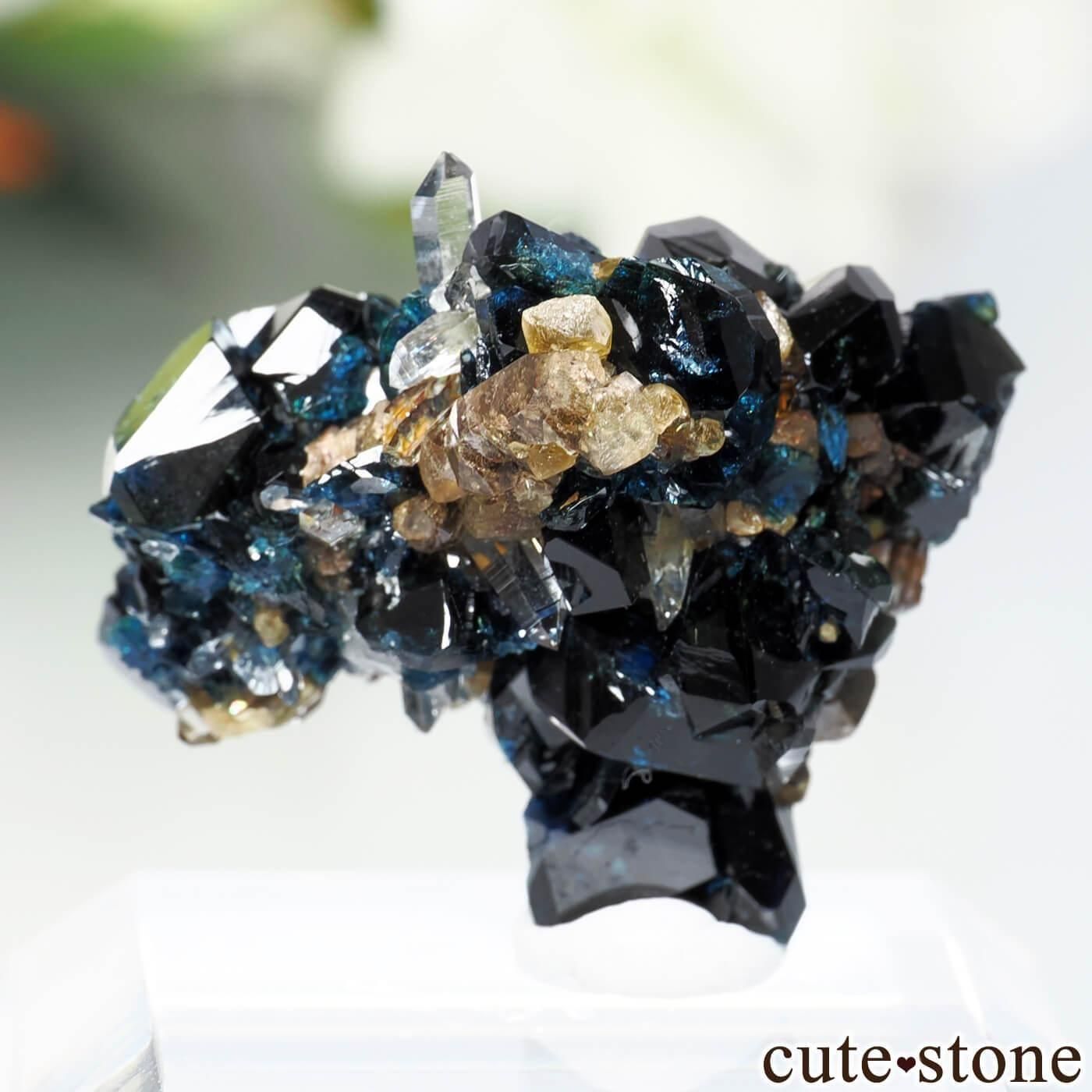 ʥ 桼 ԥåɥ꡼ 饺饤(ŷ)ǥ饤ȡĤθ No.50μ̿1 cute stone