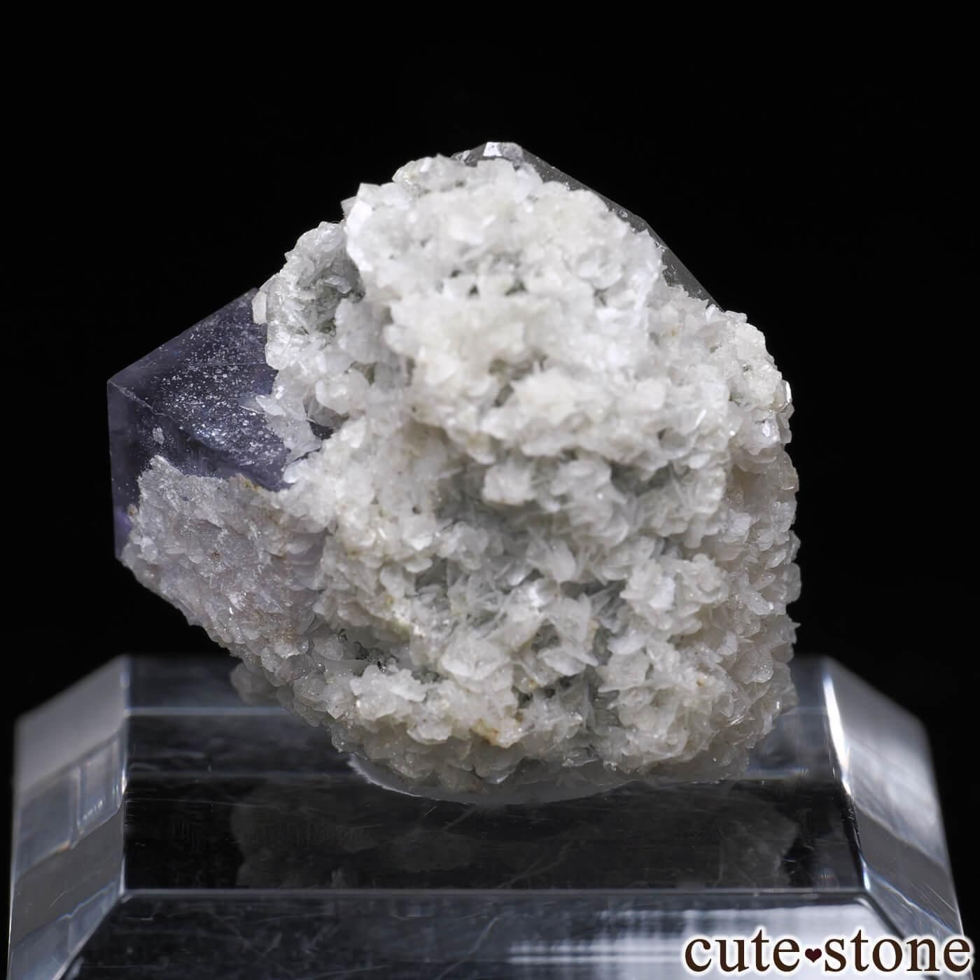 䥪󥷥 ե饤ȡĤθ No.94μ̿1 cute stone