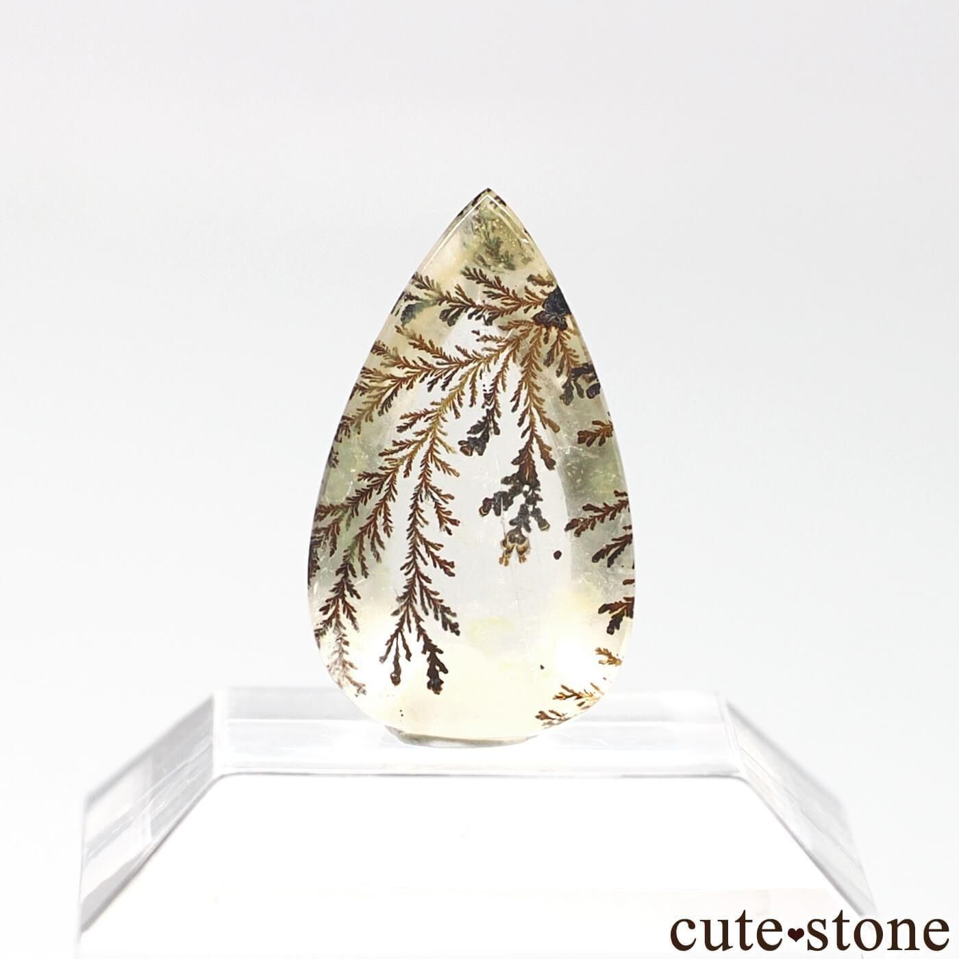 ブラジル ミナスジェライス Galileia産 デンドリティック