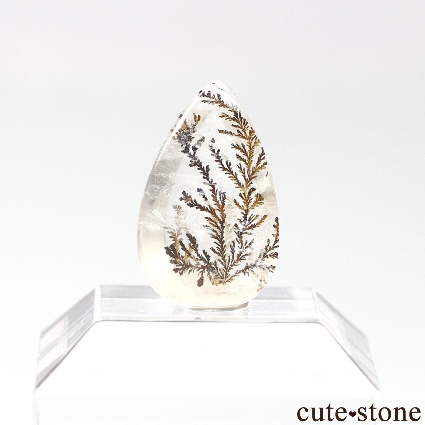ブラジル ミナスジェライス Galileia産 デンドリティック ブラジル ミナスジェライス Galileia産 デンドリティック