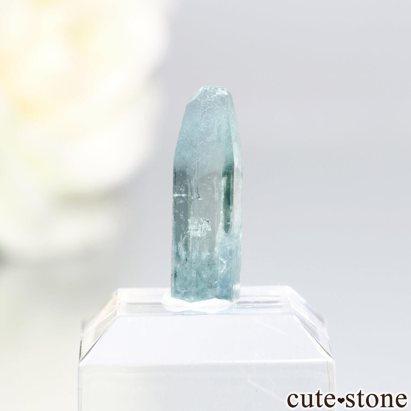 ֥饸 Mimoso do Sul ޥʥܥȥˤθ No.15