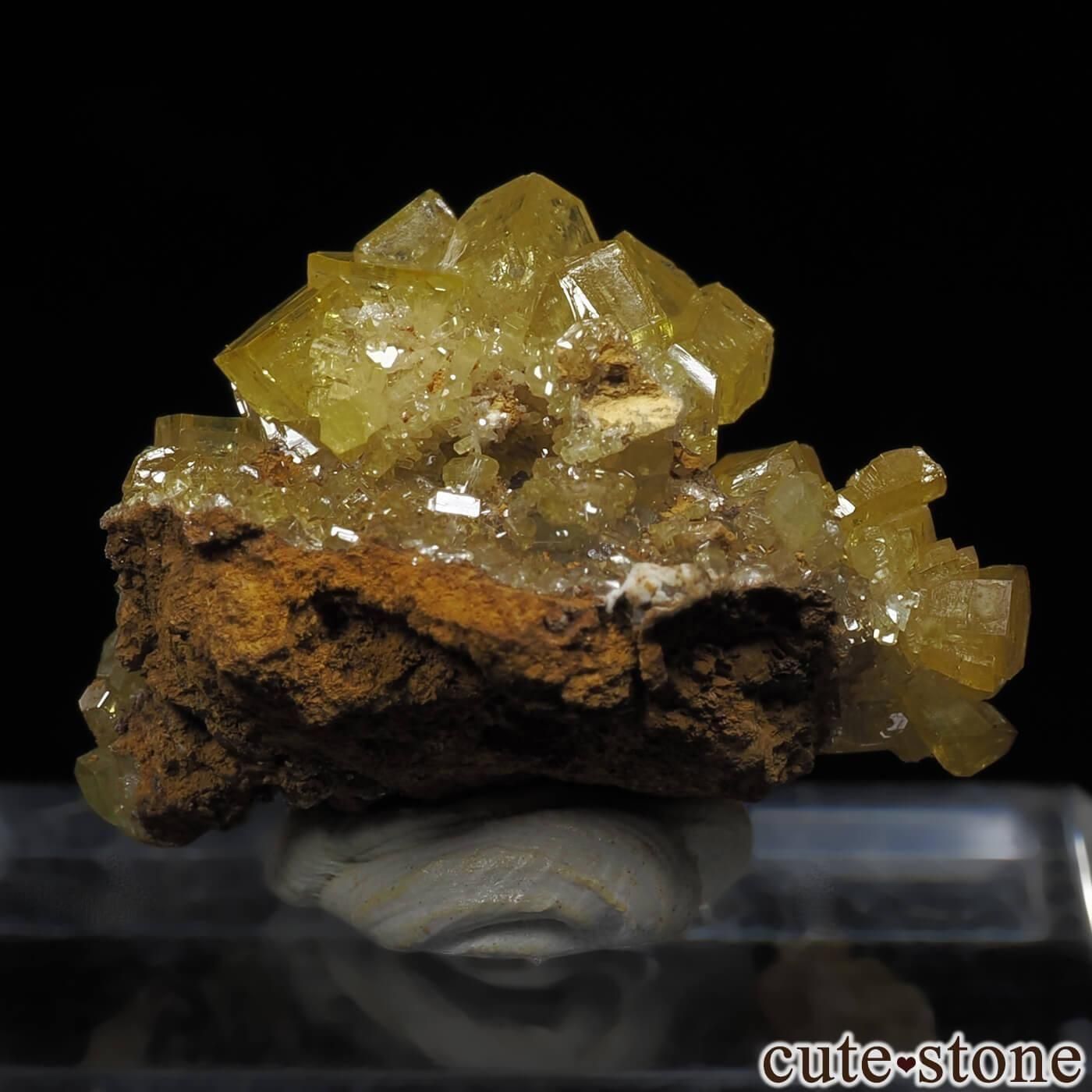  Guatomo Mine ߥ᥿Ȥθ No.1μ̿1 cute stone