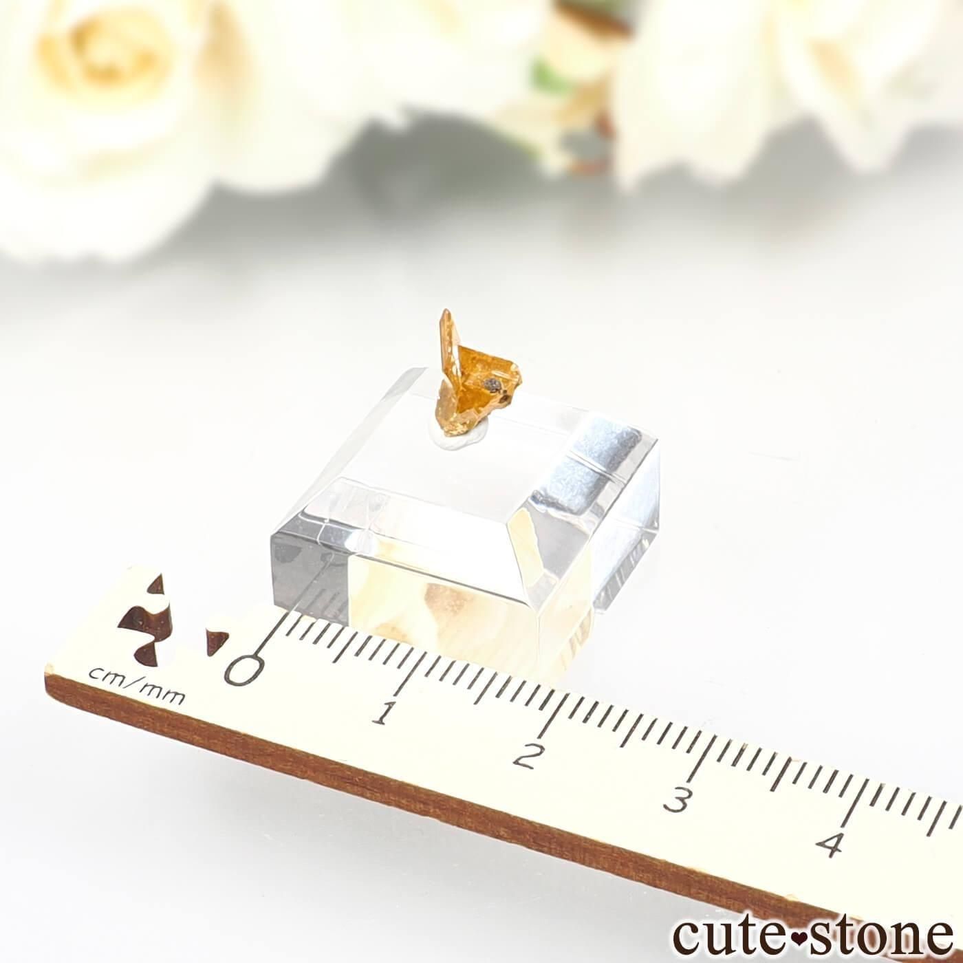 ᥭ Apex mine եʥȤθ No.1μ̿3 cute stone