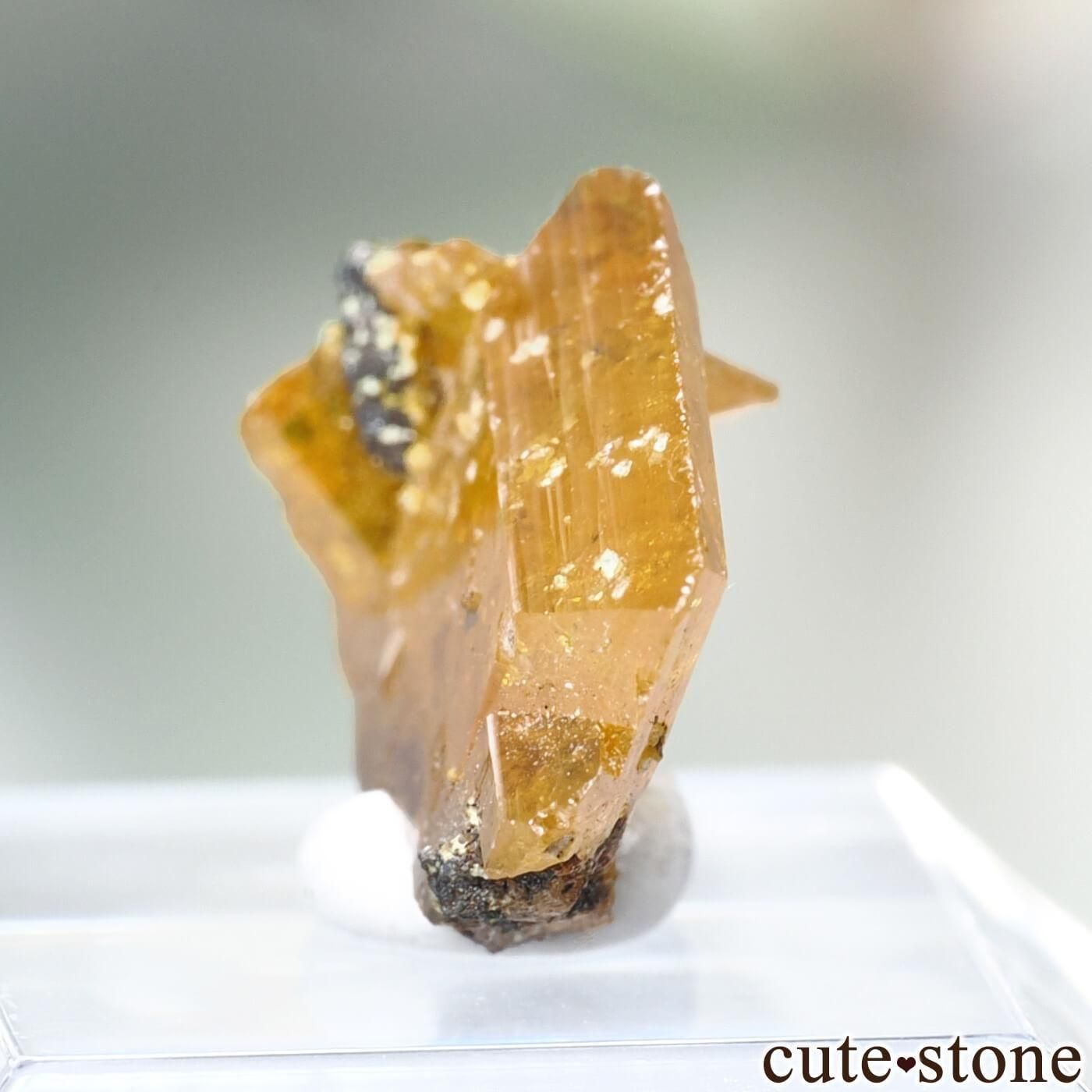 ウルフェナイト ミメタイト 共生標本 メキシコ産 / 原石 天然石 鉱物標本 ウルフェナイト ミメタイト 共生標本 メキシコ産 / 原石 天然石