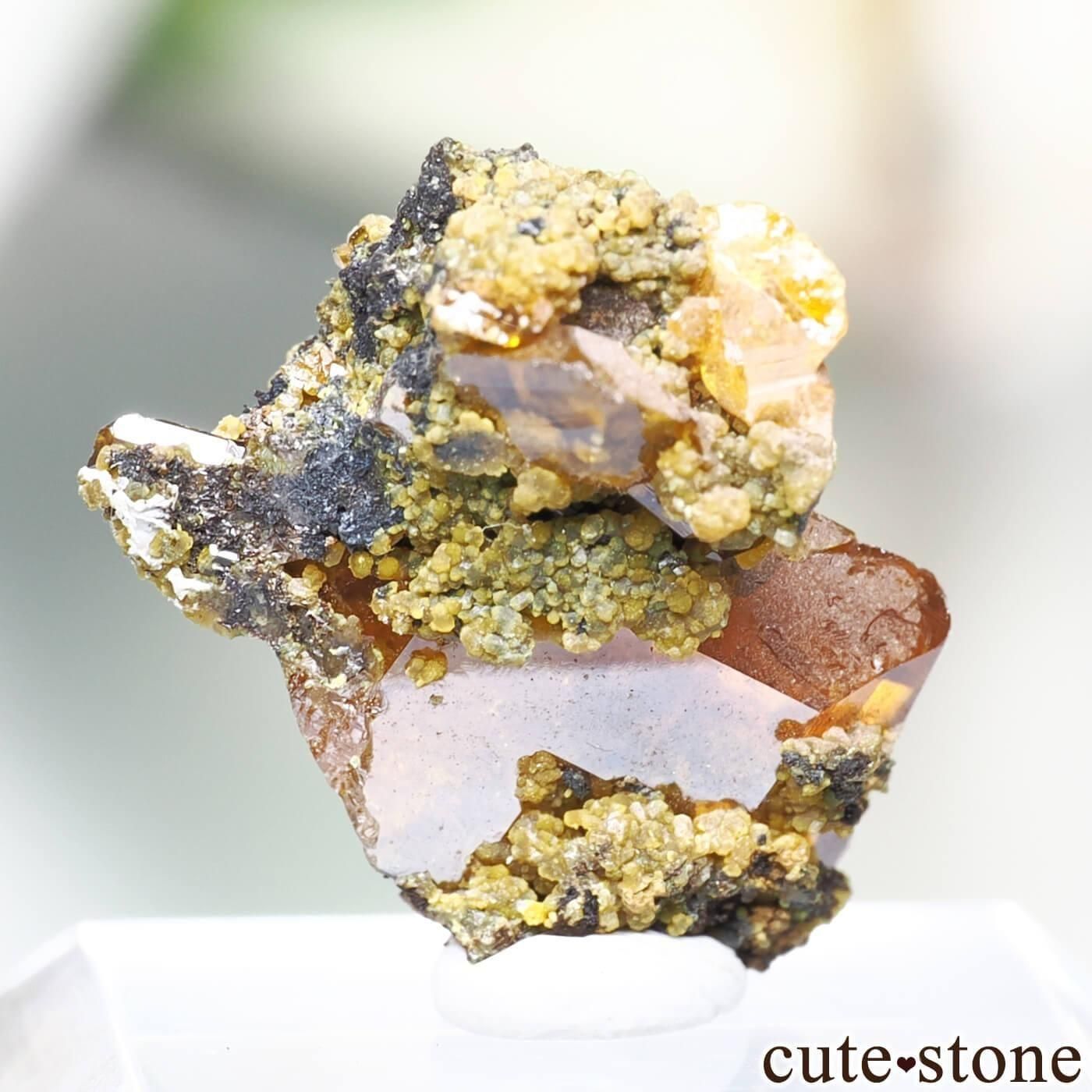 ᥭ Apex mine եʥȤθ No.3μ̿1 cute stone