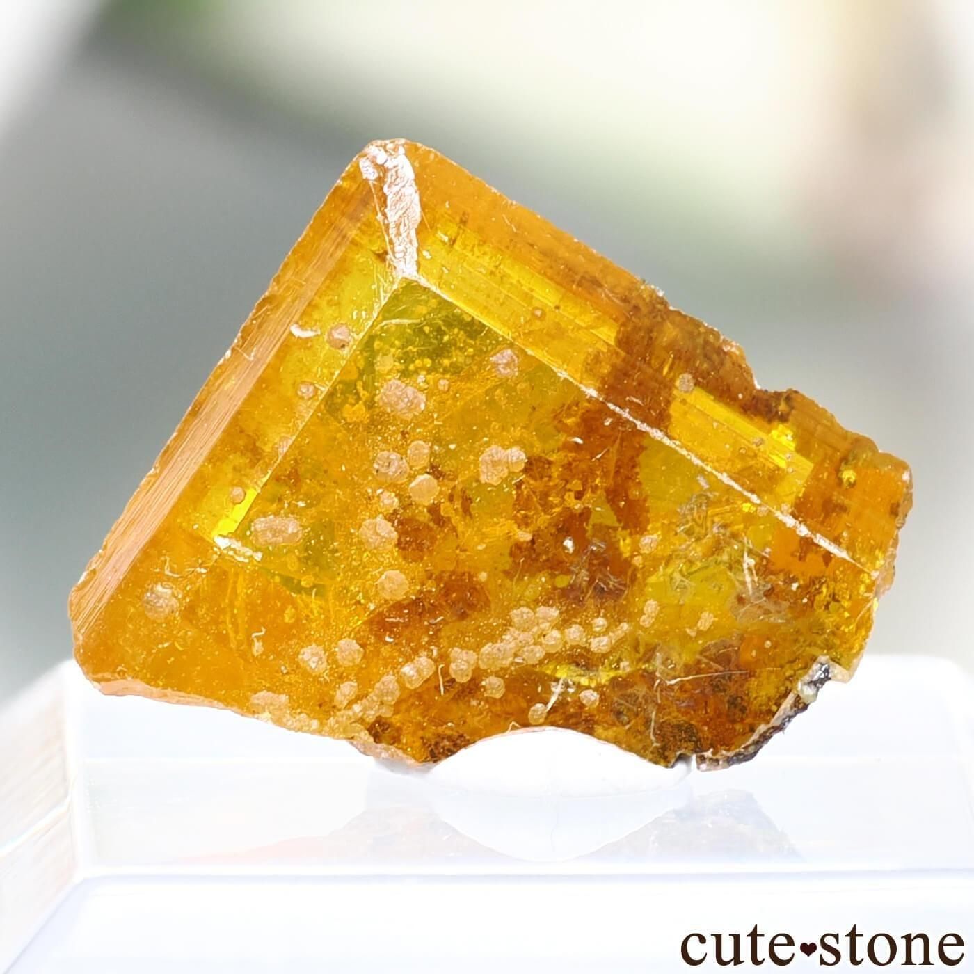 メキシコ Apex mine産 ウルフェナイトの原石 No.4 - cute stone -