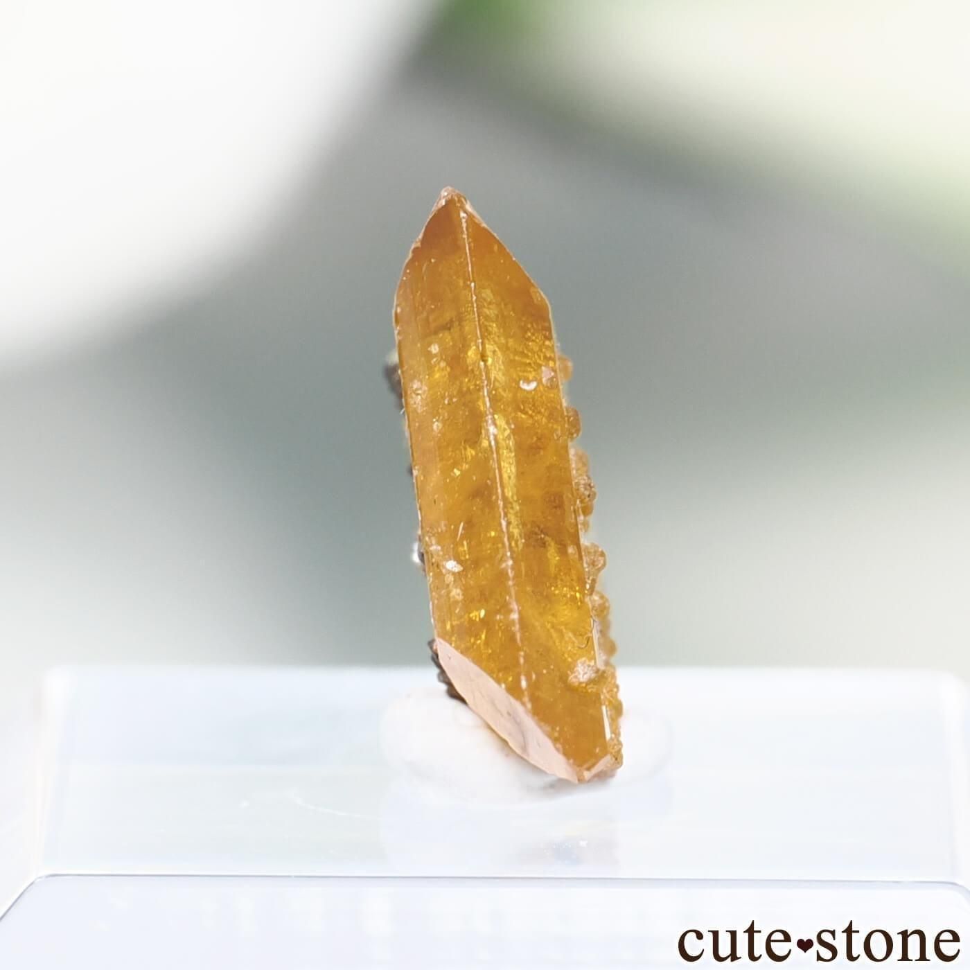 メキシコ Apex mine産 ウルフェナイトの原石 No.4 - cute stone -