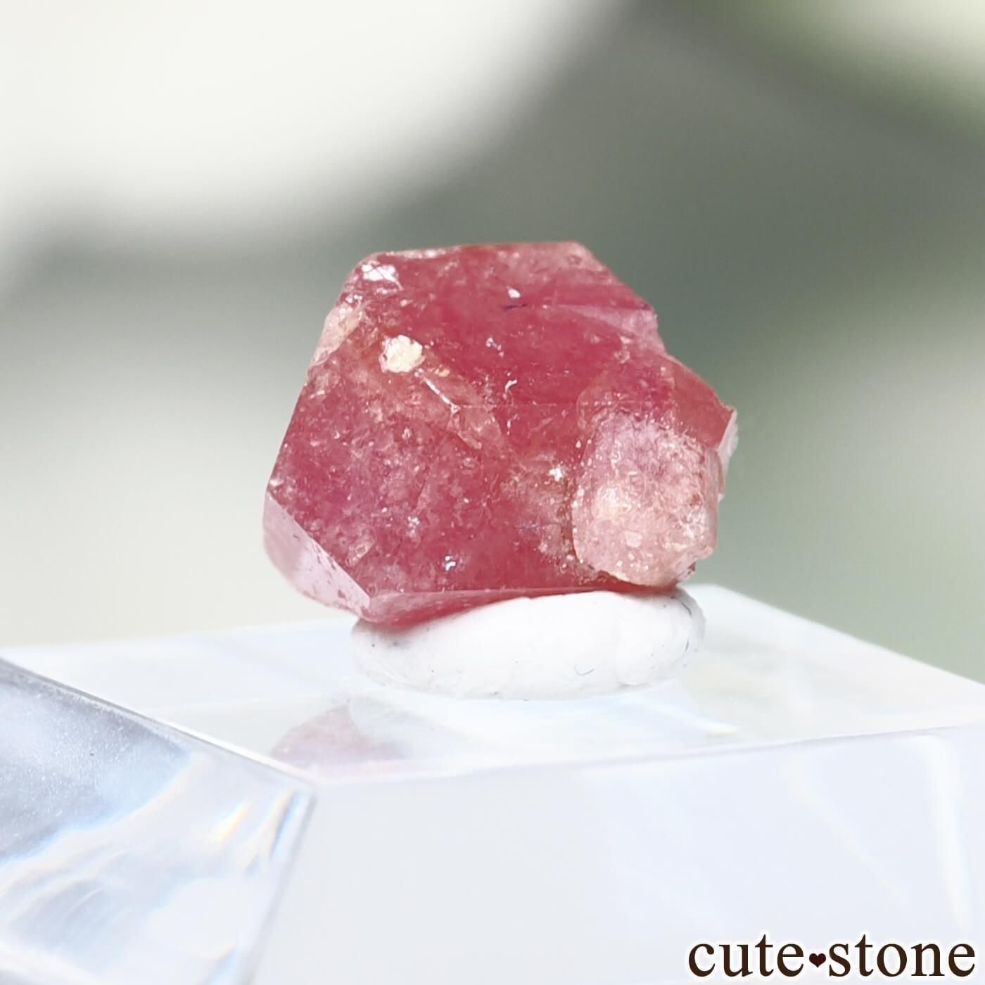 ᥭ å顼ͥåȡʥ饺٥꡼ͥåȡˤθ No.7μ̿1 cute stone