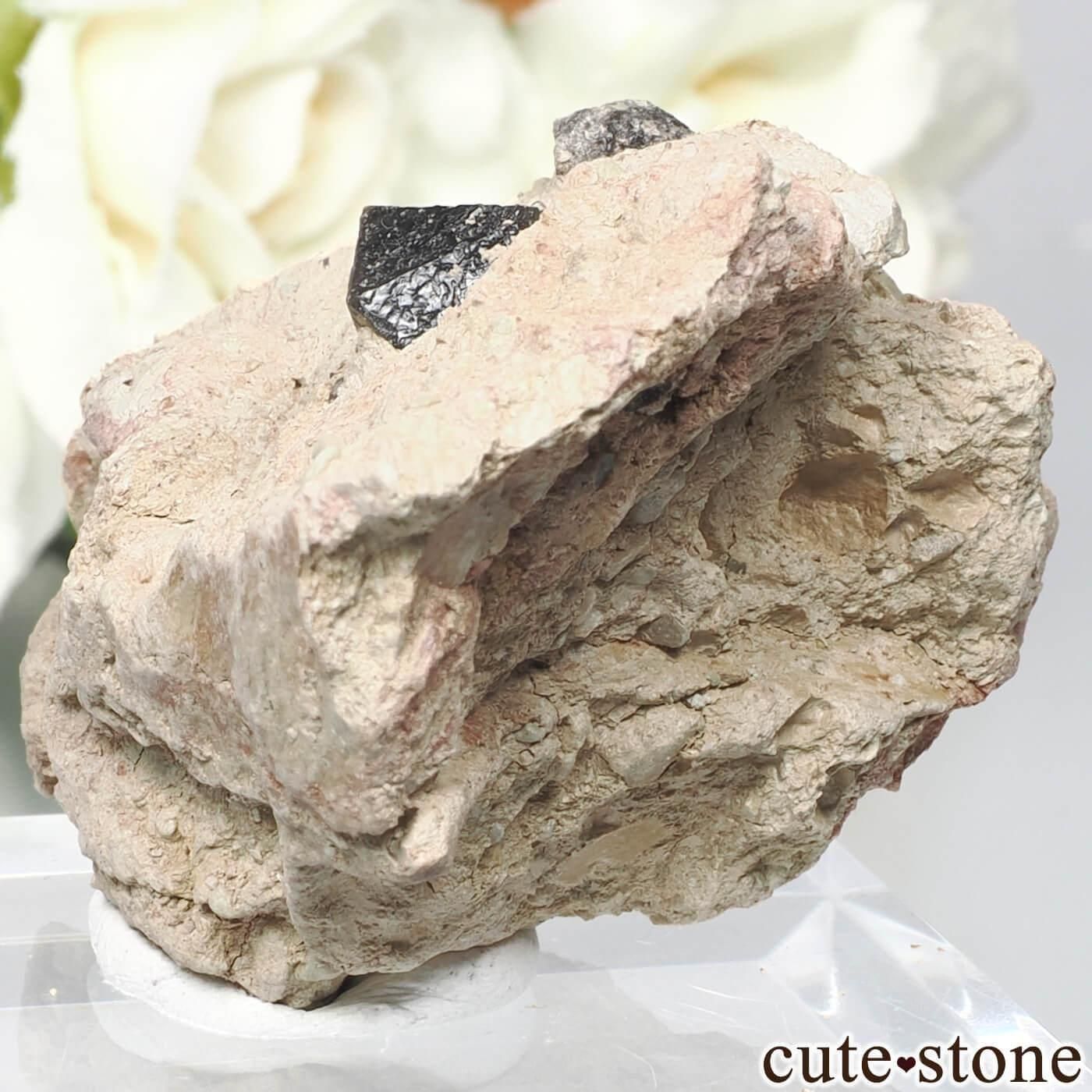 ꥢ Monteriggioni 󥴡 - ꥪդ No.6μ̿1 cute stone