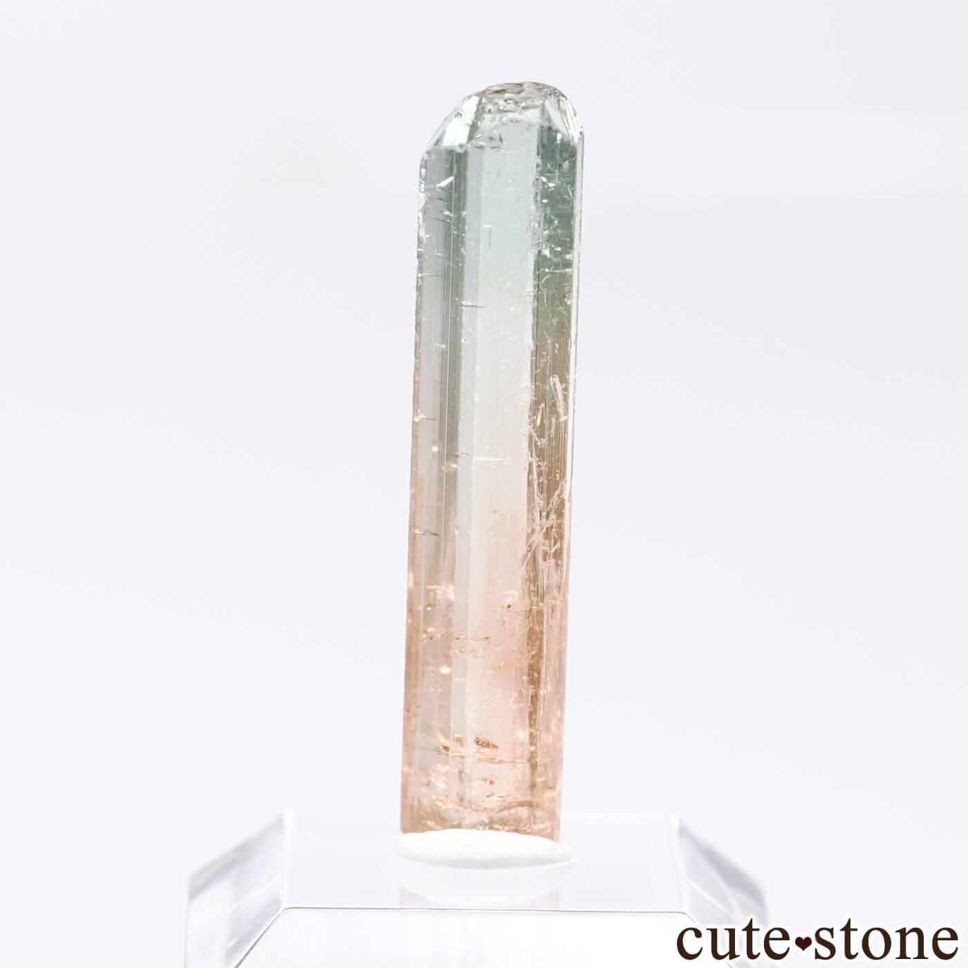  Goma ȥޥθ No.1μ̿1 cute stone