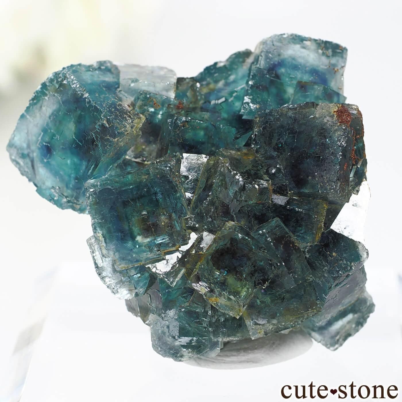 ナミビアOkorusu Mine 産のフローライト ナミビア Okorusu Mine産 フローライトの原石 No.65 - cute stone -