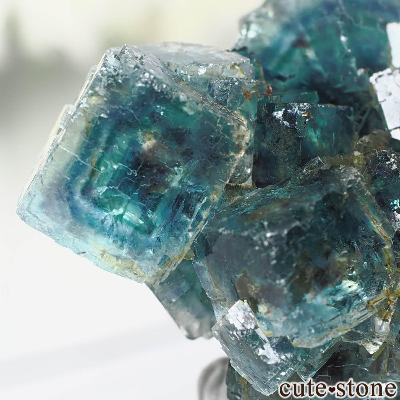 ナミビア Okorusu Mine産 フローライトの原石 No.65 - cute stone -