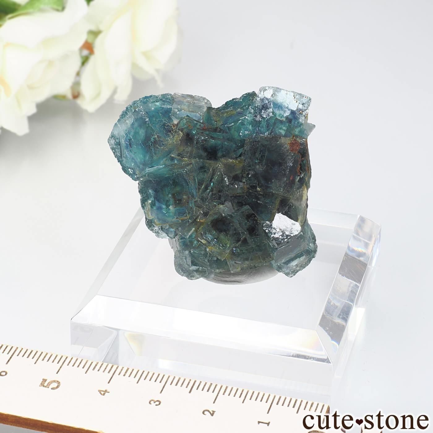 ナミビアOkorusu Mine 産のフローライト ナミビア Okorusu Mine産 フローライトの原石 No.65 - cute stone -
