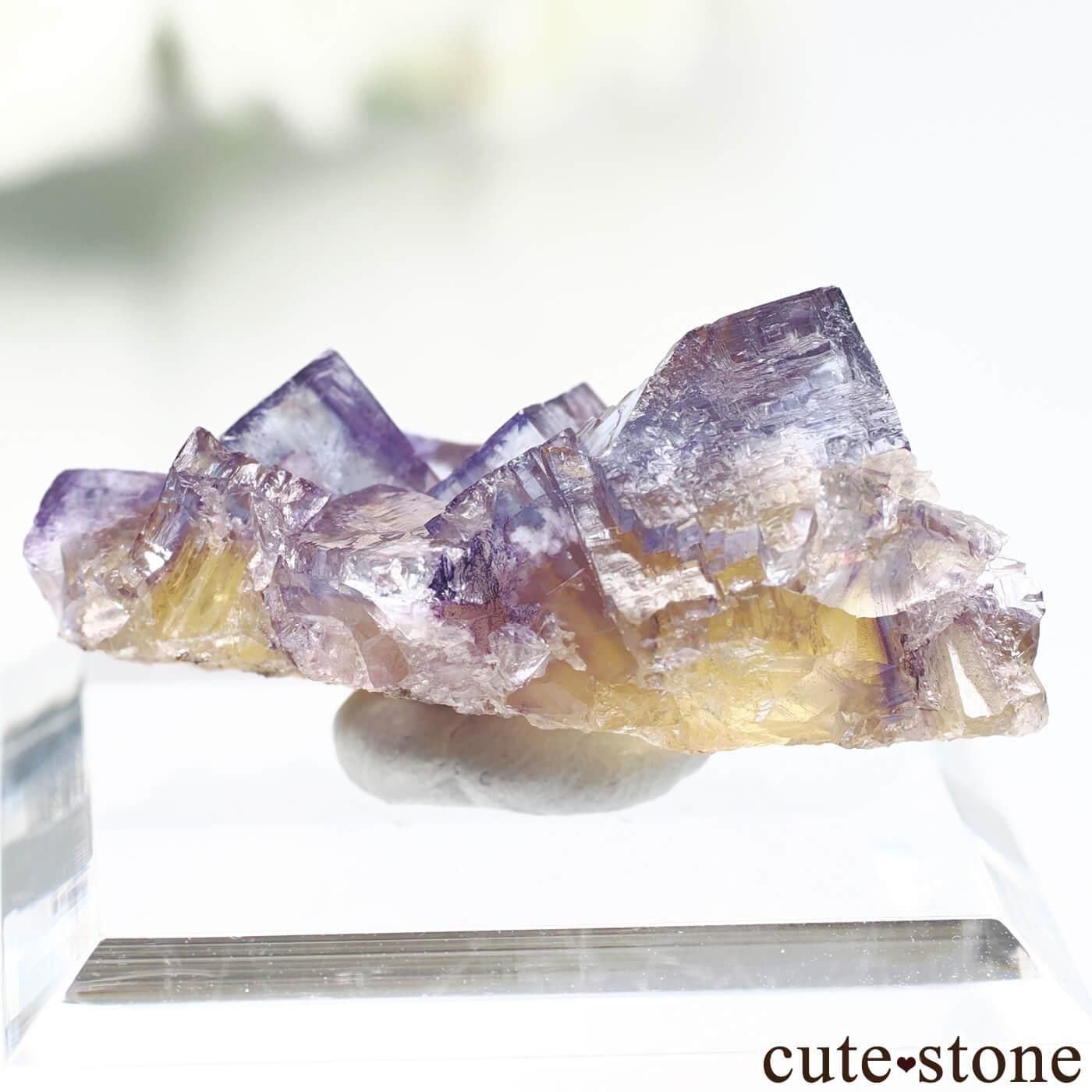 ꥫ Υ Minerva No. 1 Mine ߥ֥롼ե饤Ȥθ No.1μ̿1 cute stone