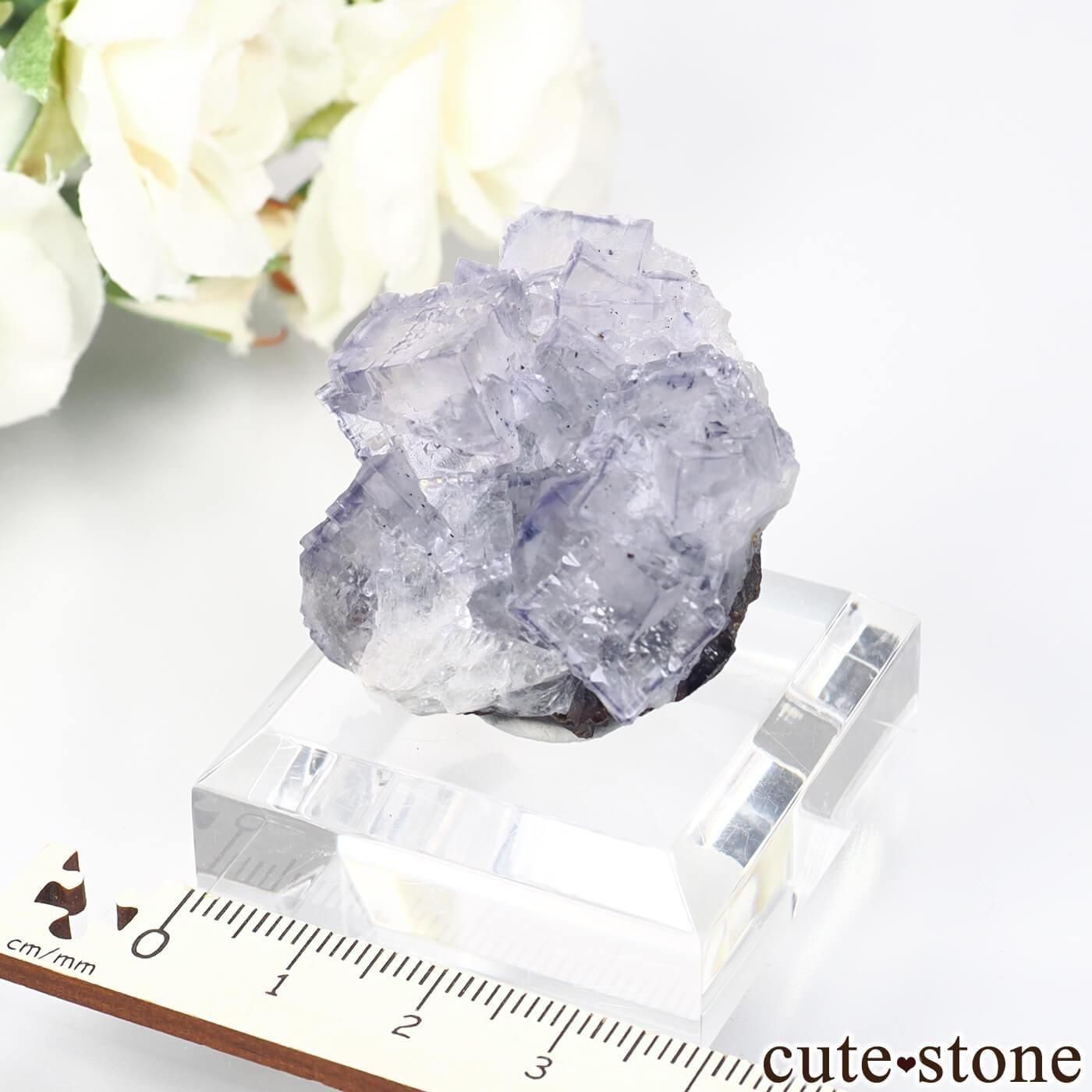 アメリカ エルムウッド鉱山産 パープルブルーフローライト