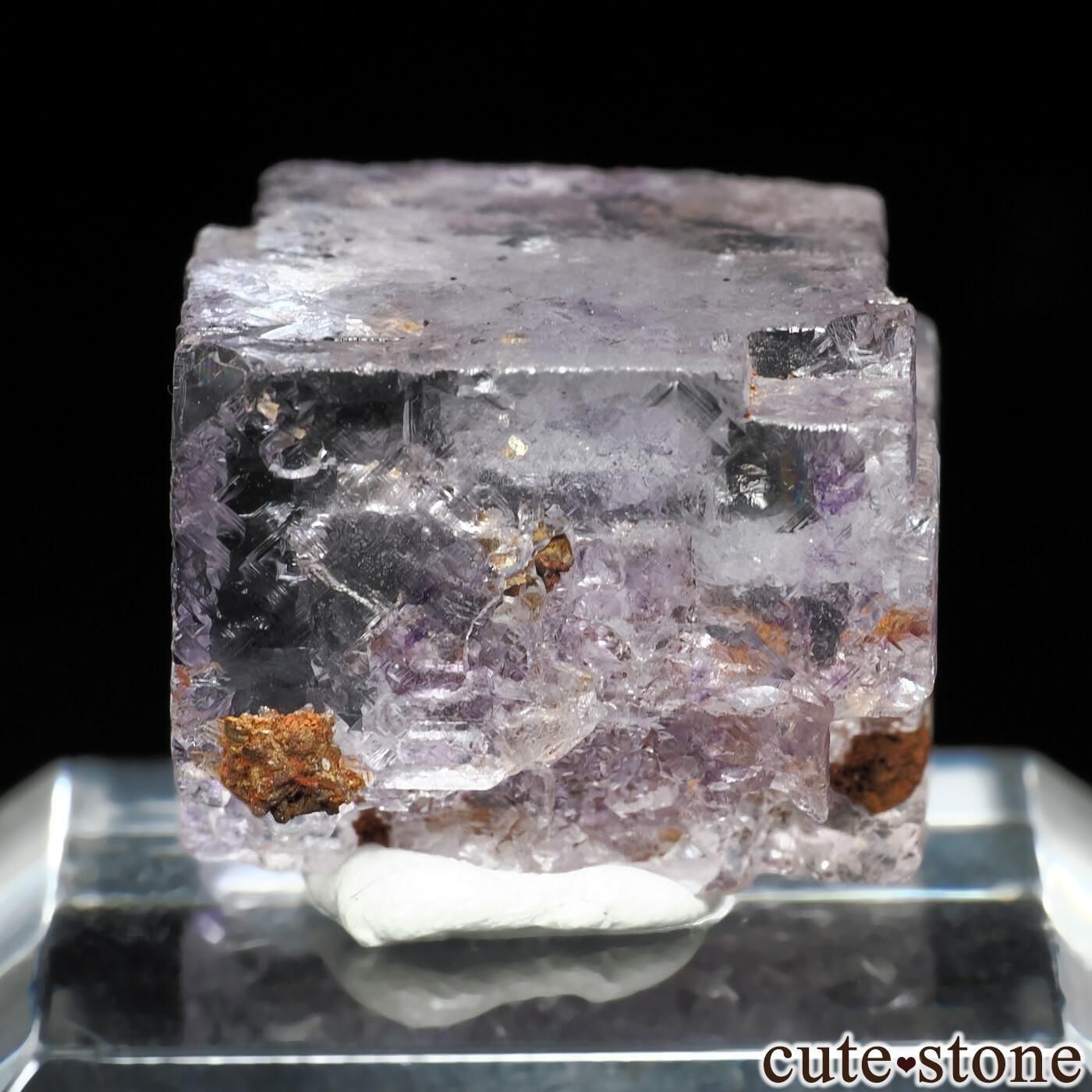 ᥭ Ojuela Mine (ϥ) ե饤Ȥθ No.17μ̿1 cute stone