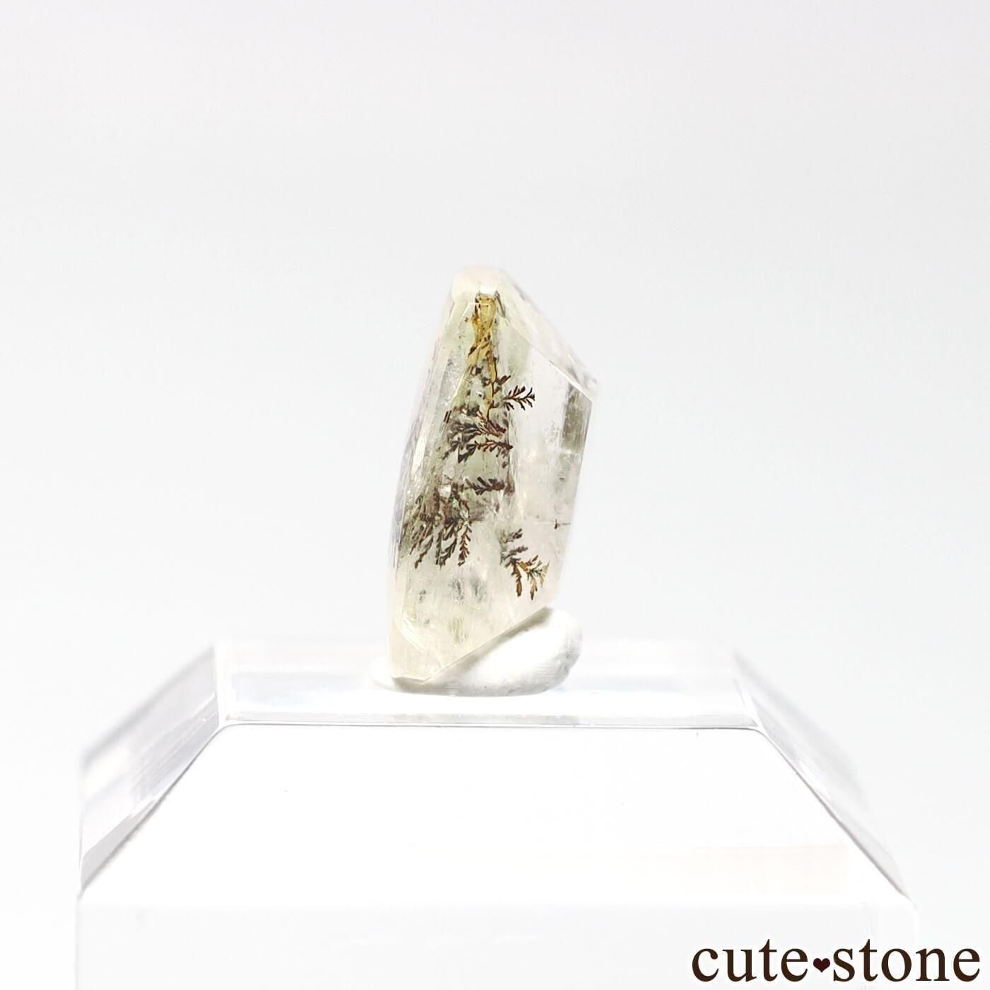 ֥饸 ߥʥ饤 Galileia ǥɥƥåĤΥ롼 No.55μ̿2 cute stone