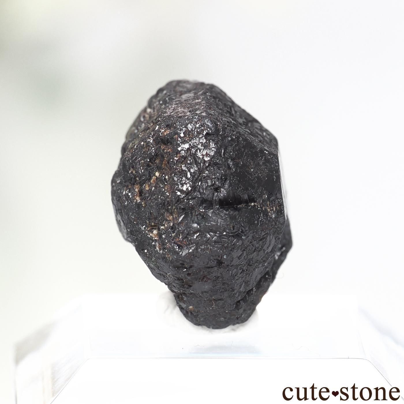 Х֥ Novello Mine 쥭ɥ饤ȡʥ꥽٥ˤθ No.6μ̿0 cute stone
