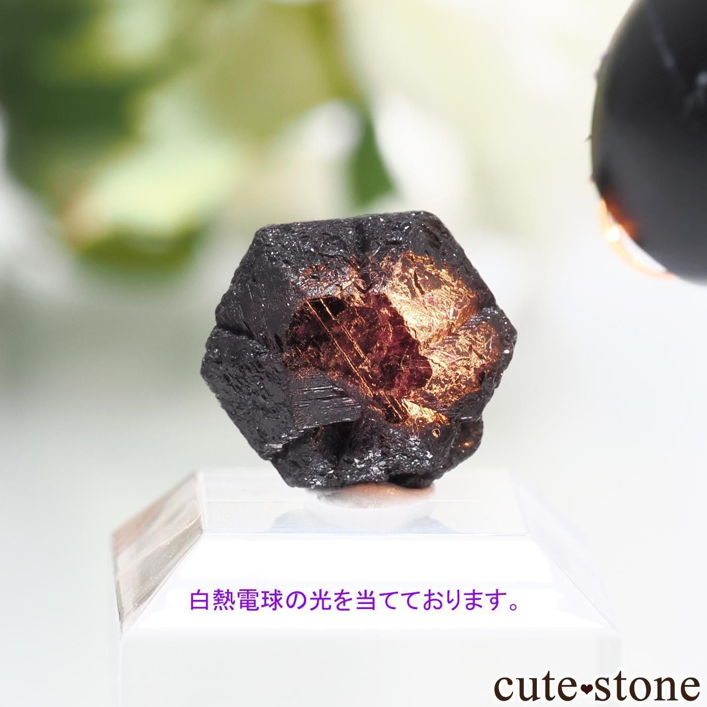 Х֥ Novello Mine 쥭ɥ饤ȡʥ꥽٥ˤθ No.6μ̿3 cute stone