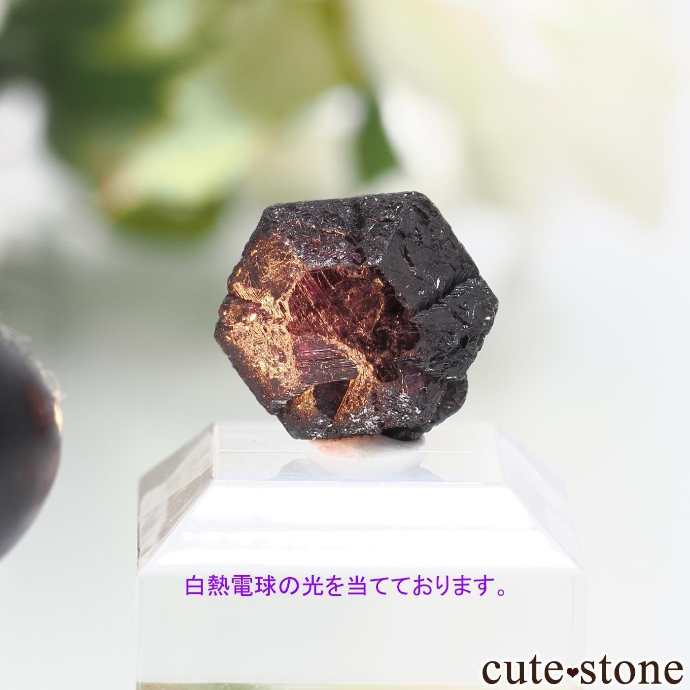 Х֥ Novello Mine 쥭ɥ饤ȡʥ꥽٥ˤθ No.6μ̿4 cute stone