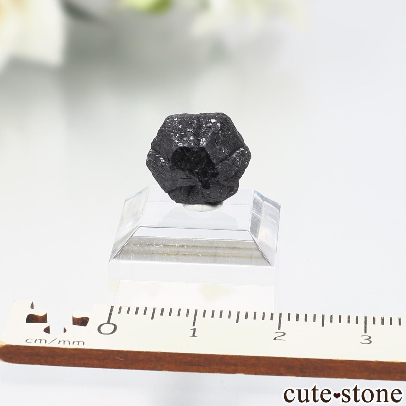 Х֥ Novello Mine 쥭ɥ饤ȡʥ꥽٥ˤθ No.6μ̿5 cute stone