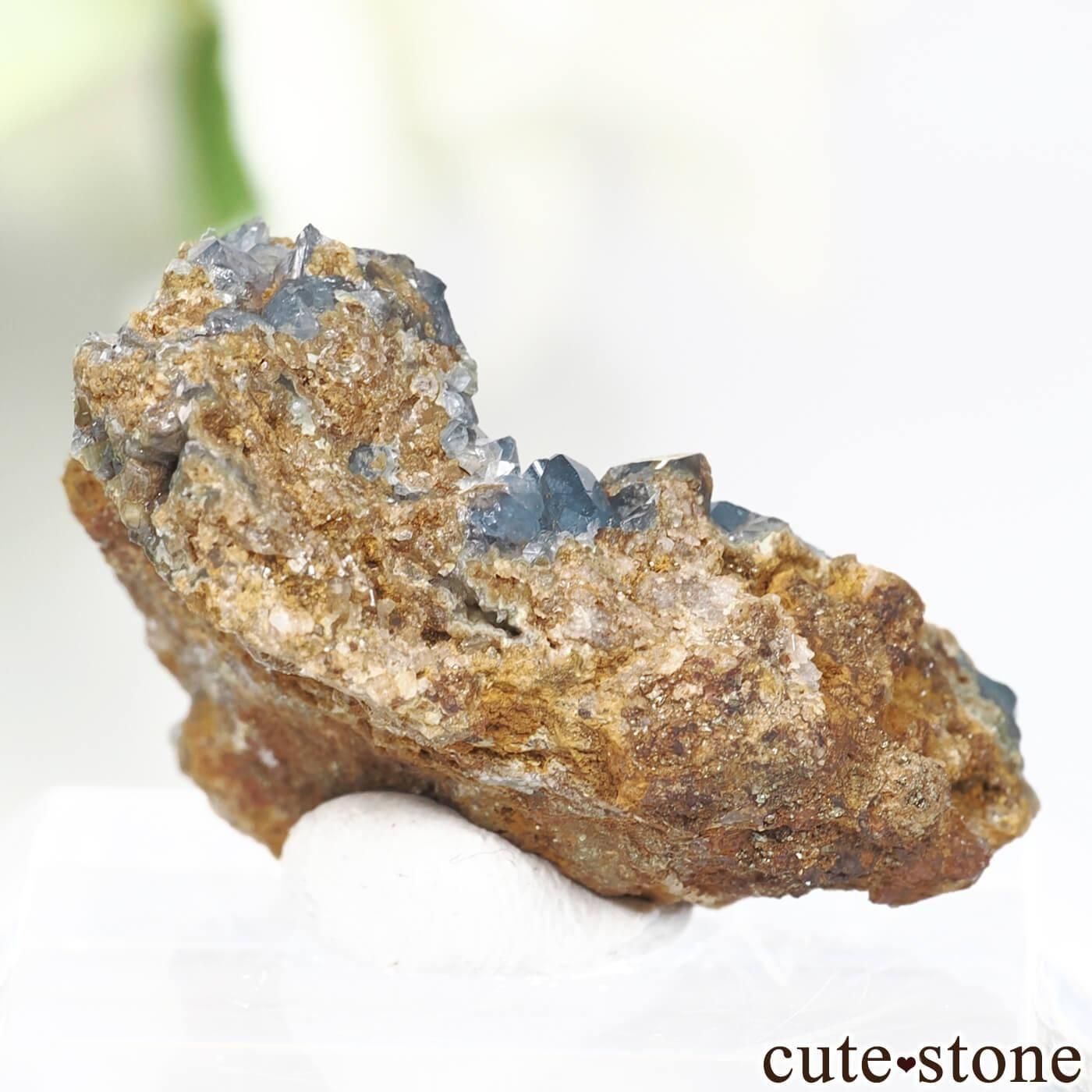 ᥭ Ojuela Mine Ȥθ No.2μ̿1 cute stone