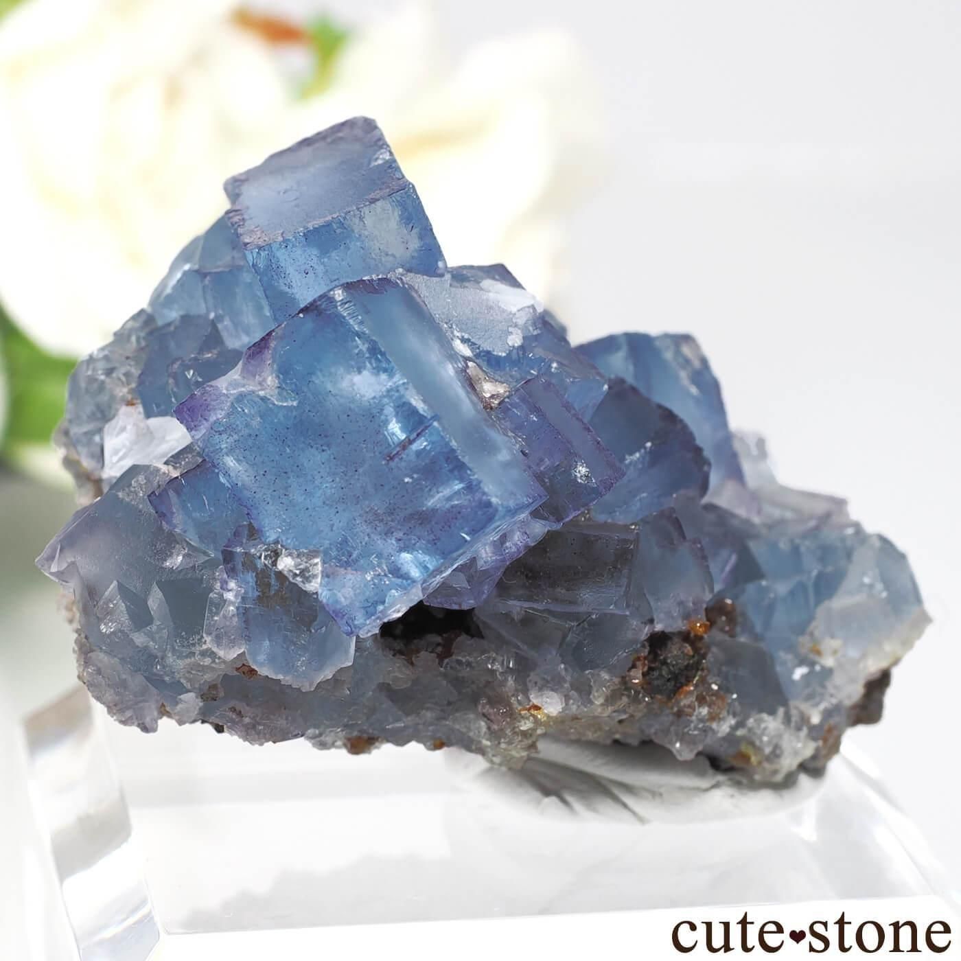 ꥫ Υ ֥롼ե饤Ȥθ No.30μ̿0 cute stone