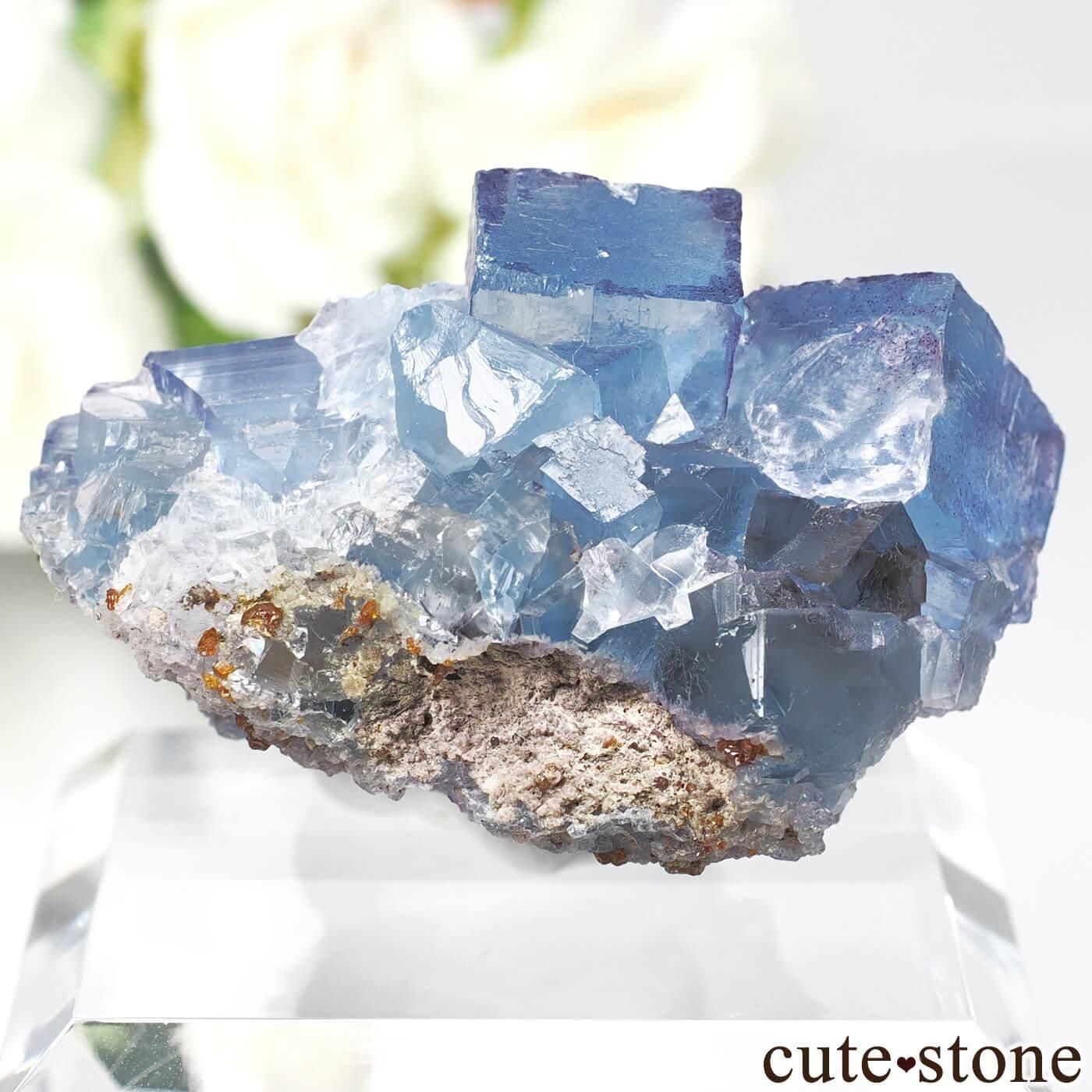 ꥫ Υ ֥롼ե饤Ȥθ No.30μ̿1 cute stone