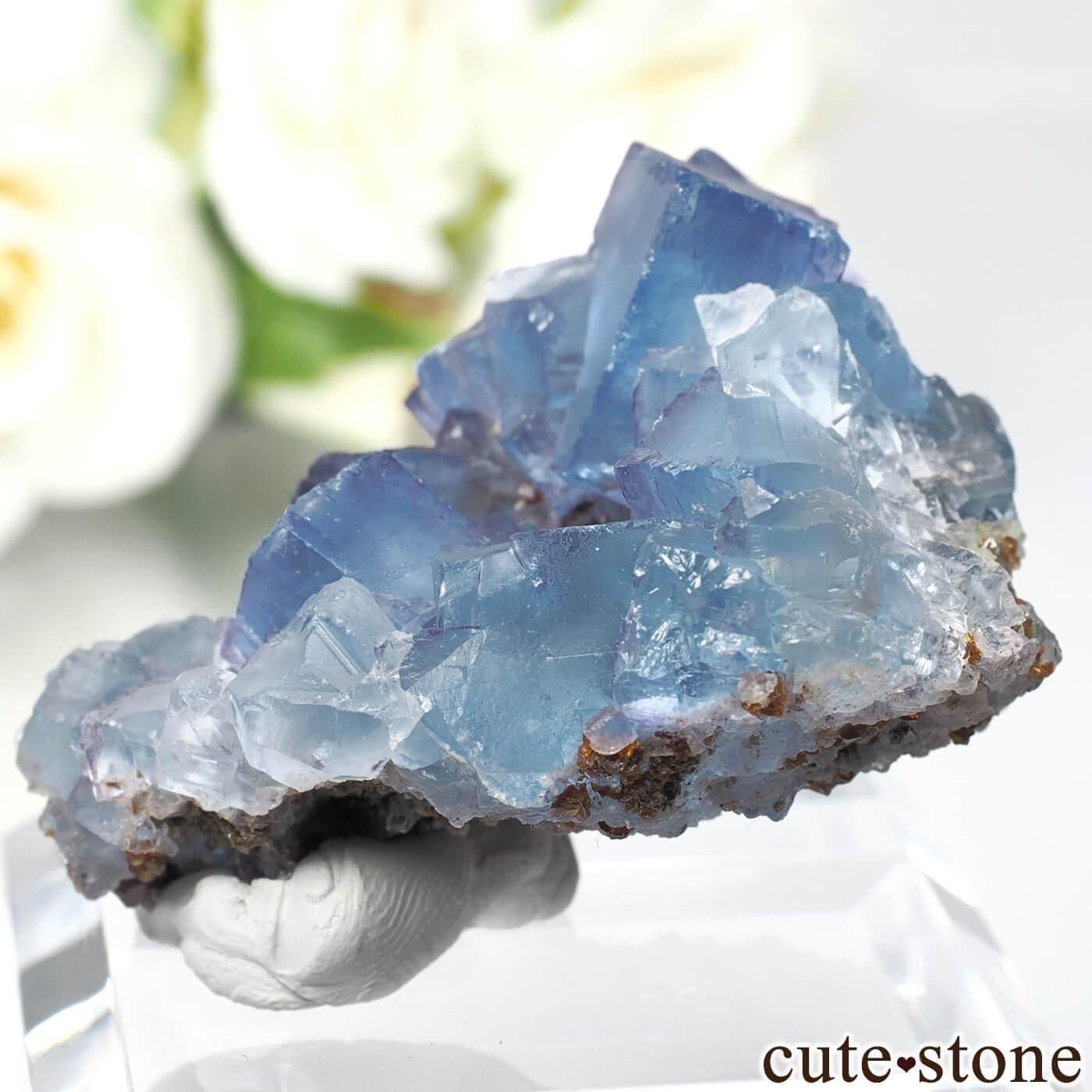 ꥫ Υ ֥롼ե饤Ȥθ No.30μ̿2 cute stone