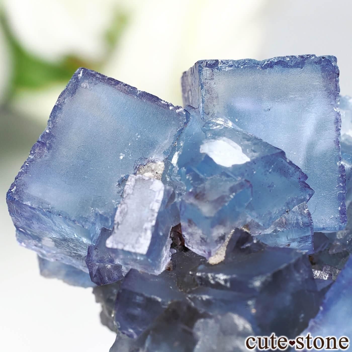 ꥫ Υ ֥롼ե饤Ȥθ No.30μ̿3 cute stone