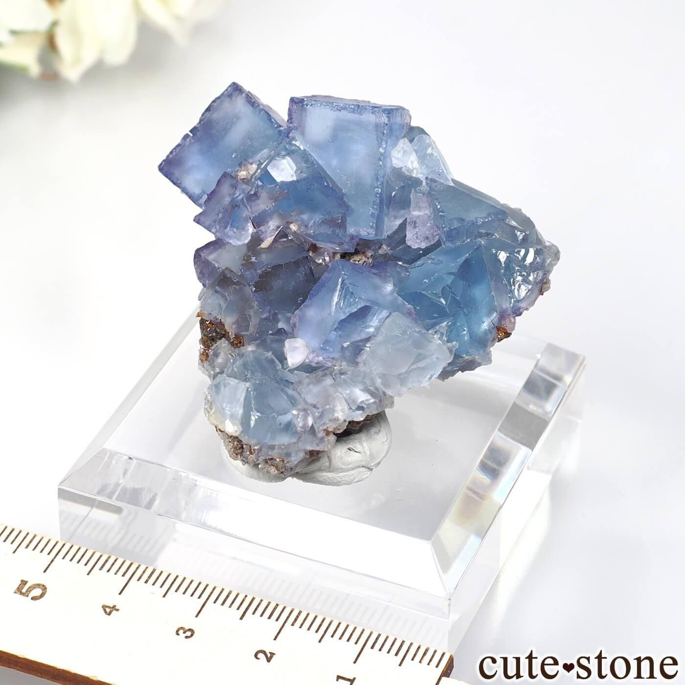 アメリカ イリノイ州 ブルーフローライトの原石 No.30 - cute