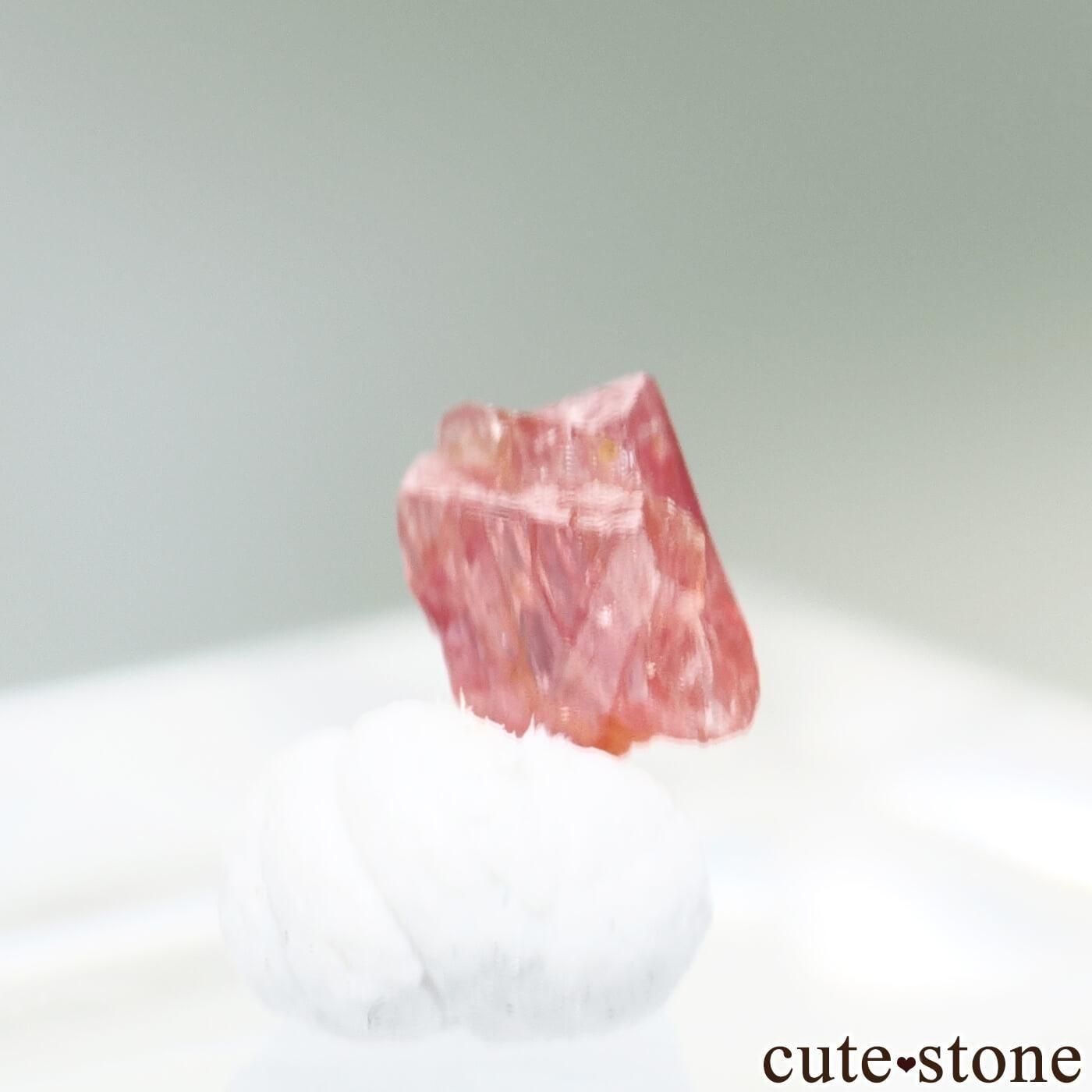 9ǯǰ ߥޡ ⥴ ԥͥоϻNo.37μ̿0 cute stone