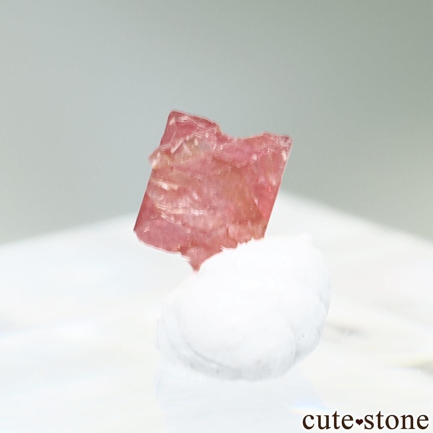 9ǯǰ ߥޡ ⥴ ԥͥоϻNo.37μ̿1 cute stone
