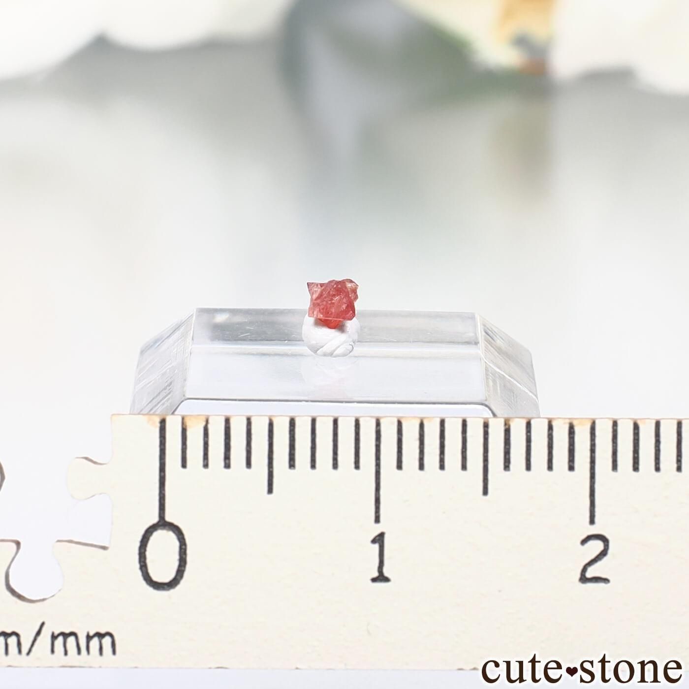 9ǯǰ ߥޡ ⥴ ԥͥоϻNo.37μ̿2 cute stone