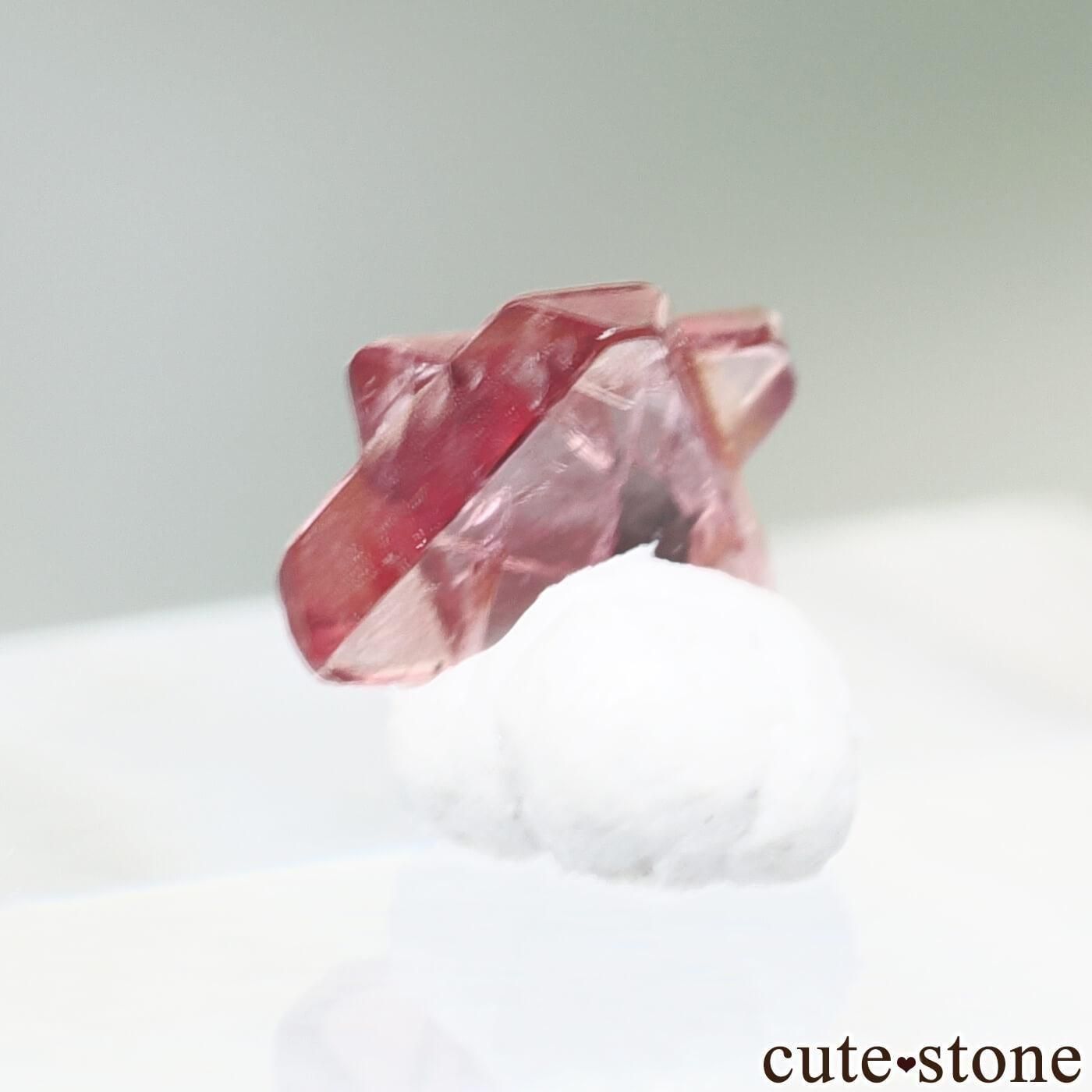 9ǯǰ ߥޡ ⥴ ԥͥоϻNo.38μ̿1 cute stone