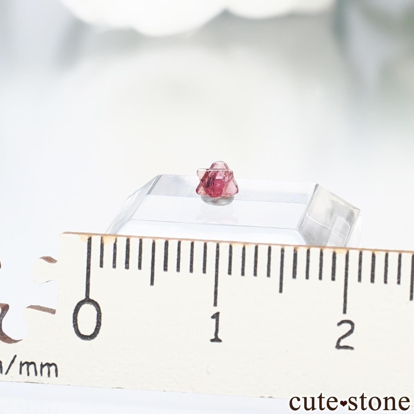 9ǯǰ ߥޡ ⥴ ԥͥоϻNo.38μ̿2 cute stone