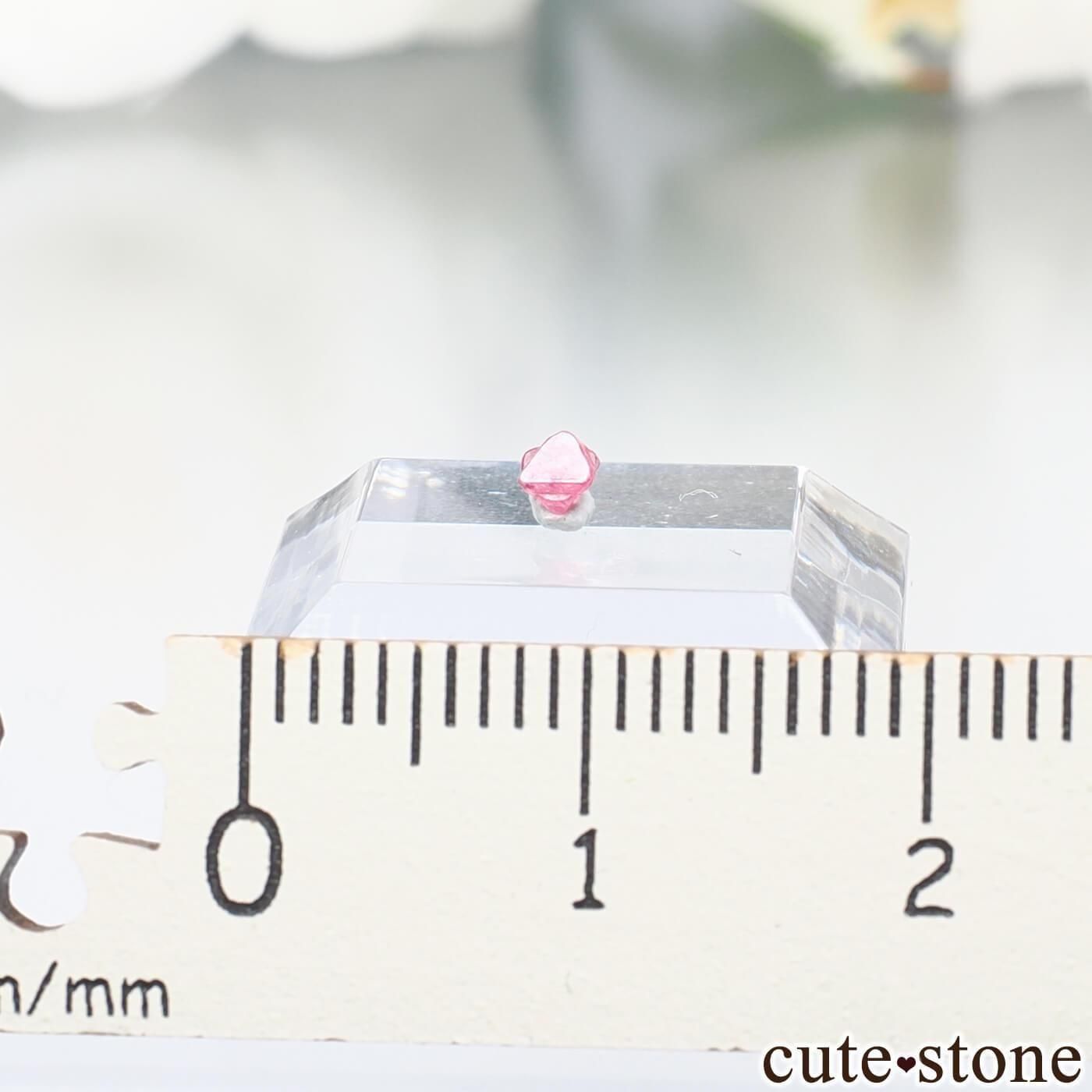 9ǯǰ ߥޡ ⥴ ԥͥоϻNo.39μ̿2 cute stone