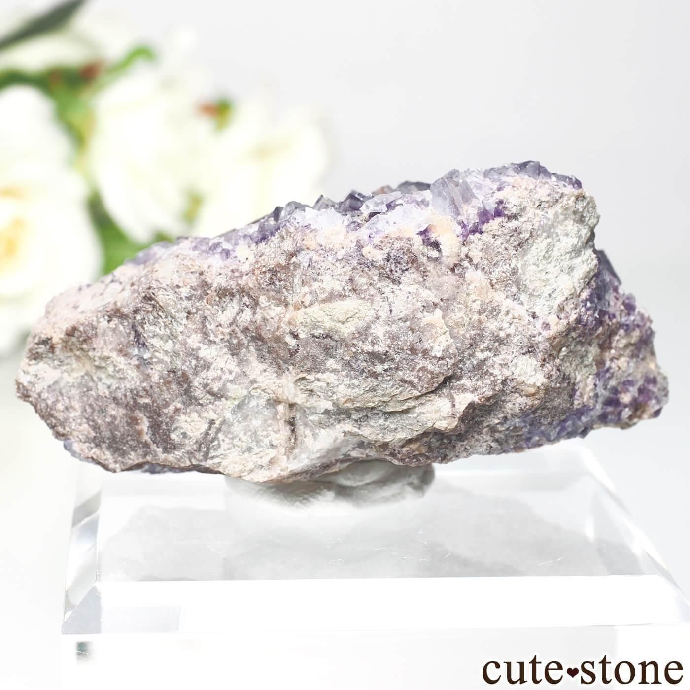 ɥ Niederschlag mine ߥե饤Ȥθ No.9μ̿1 cute stone